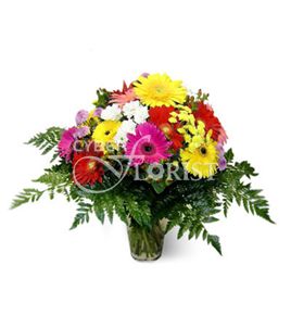 букет гербер и хризантем