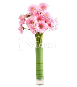 розовые герберы в стеклянной вазе