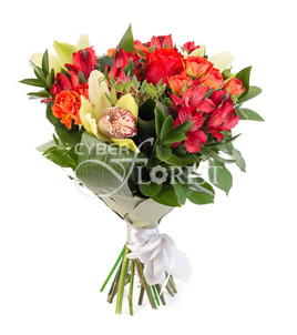 орхидея и альстромерии