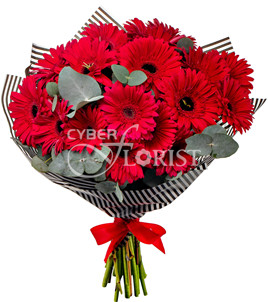 букет из 17 гербер