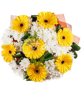 букет из гербер и хризантем