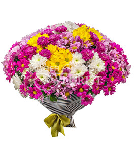 кустовые хризантемы