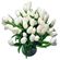 Белые тюльпаны. Тюльпаны - нежные, утонченные цветы для любителей весны и романтики. Сезон тюльпанов длится, как правило, с февраля по апрель. В остальное время их наличие ограничено, поэтому заказ лучше оформлять заранее.. США
