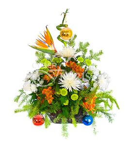 Фейерверк. Яркая, искрящаяся композиция с экзотическими цветами - прекрасный способ поздравления особенного человека в Вашей жизни